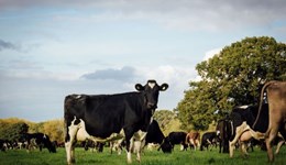 Introduction to the CPTPP